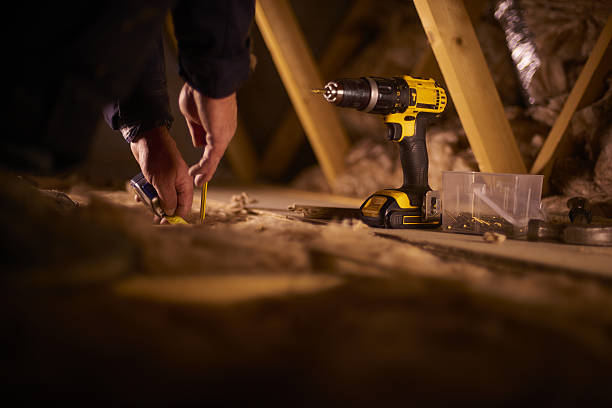 Best Local Insulation Services  in Roan Mountain, TN